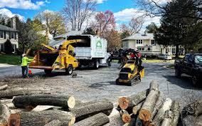 Best Aeration Services  in Black Point Green Point, CA