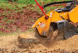 Soil Testing and Treatment in Black Point Green Point, CA